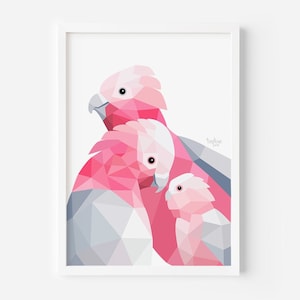 Impresión de Galah / Ilustración de Galah / Arte de Galah / Familia de aves / Arte de familia animal / Arte infantil / Aves australianas / Decoración rosa / Arte de loros