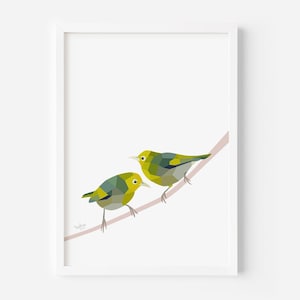 Stampa Silvereye - Waxeye - Tauhou - Uccelli della Nuova Zelanda - Arte della Nuova Zelanda - Artista Kiwi - Giardino della Nuova Zelanda - Fauna selvatica Kiwi - Stampe di uccelli