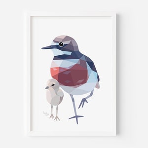 Stampa di piviere minore / Stampe neozelandesi / Piviere minore fasciato / Cartolina di piviere minore / Poster neozelandese / Decorazioni per la casa Kiwi / Arte per osservatori di uccelli / Fauna selvatica