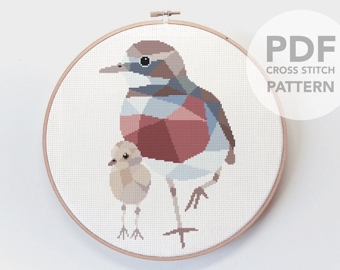 Dotterel art, Bird cross stitch, Cross stitch pattern, New Zealand cross stitch, Dotterel cross stitch, Kiwi cross stitch, Home crafts, Kit