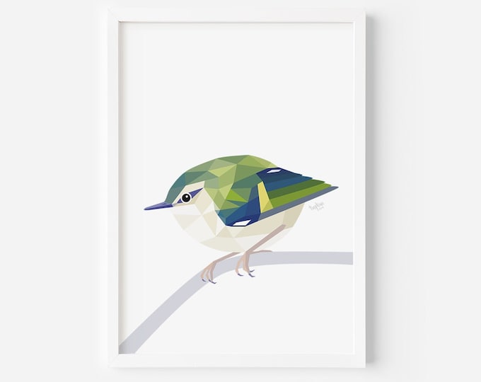 Rifleman Print - Titipounamu - Kiwi Birds - New Zealand Bird - Bird Art - New Zealand Forest - New Zealand Bird Painting - NZ Bush Art