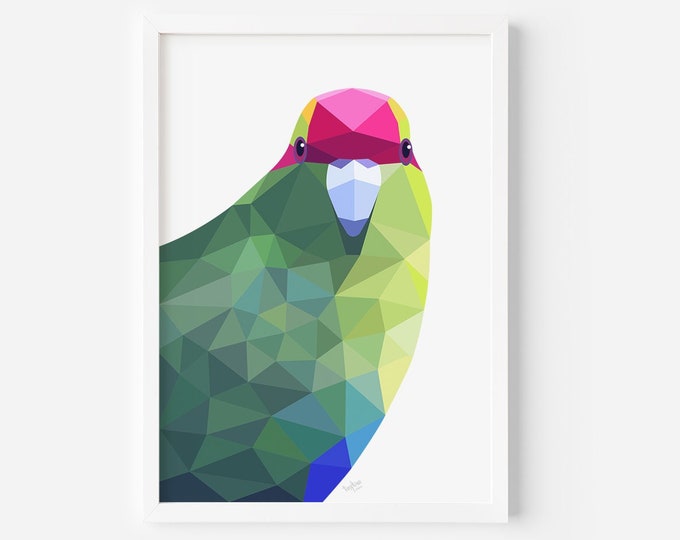 Kakariki Print - Parakeet Illustration - New Zealand Birds - New Zealand Art - Kiwiana - Kiwi Bird Art - New Zealand Nature - Wildlife Art