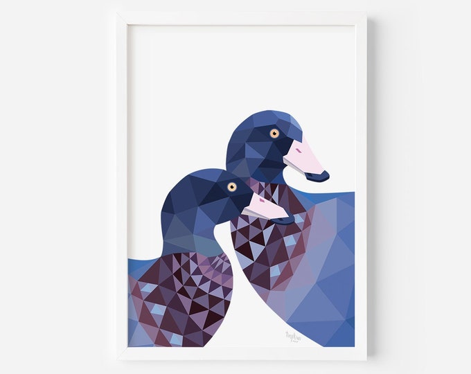 Blue Duck Print | Whio Print | Duck Art | New Zealand Print | New Zealand Duck | Kiwiana | NZ Art | New Zealand bird watcher | Kiwi Animals