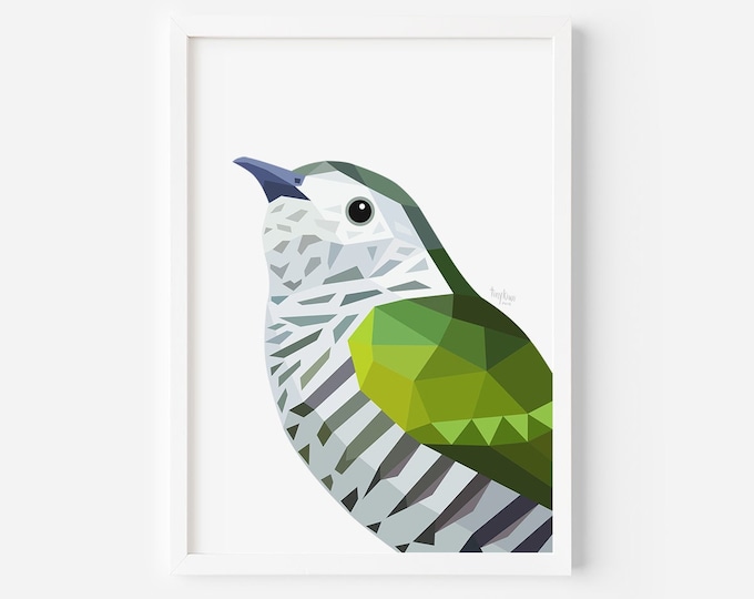 Shining Cuckoo Print - New Zealand Cuckoo - Pipiwharauroa - Kiwi Art - New Zealand Art - Kiwi Painting - New Zealand Birds - Bird Art