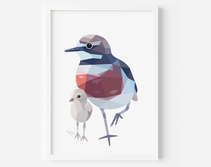 Dotterel Print | New Zealand Prints | Banded Dotterel | Dotterel Card | New Zealand Poster | Kiwi Home Decor | Bird Watcher Art | Wildlife