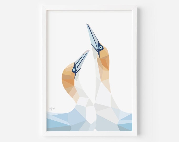 Gannet Print | Gannet Illustration | Gannet Art | Bird Pair | New Zealand Birds | Kiwi Art | New Zealand Wildlife | Kiwiana Art | Kiwi Art