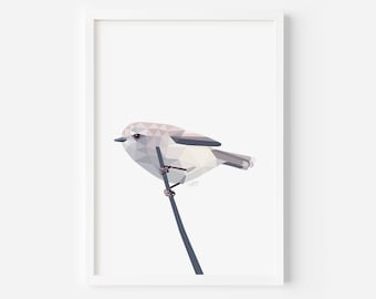 Grey Warbler Art Print: Native New Zealand Bird