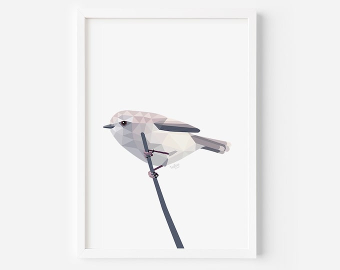 Grey Warbler Print | New Zealand Art | New Zealand Birds | Kiwi Wall Art | New Zealand Cards | Kiwi Print | Birds of New Zealand | Bird Art