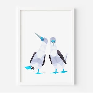Stampa di sula dalle zampe azzurre / Coppia di sule dalle zampe azzurre / Fauna selvatica delle Galapagos / Coppia di uccelli / Coppia di uccelli / Coppia di animali / Uccelli innamorati / Uccelli carini