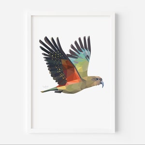 Kea Print - Kea Art - New Zealand Bird - Kea Bird - Kiwiana Art - New Zealand Gift - New Zealand Postcard - New Zealand Wildlife - Kiwi Bird