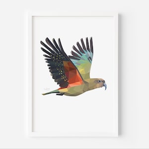 Impresión de Kea - Arte de Kea - Pájaro de Nueva Zelanda - Pájaro Kea - Arte Kiwiana - Regalo de Nueva Zelanda - Postal de Nueva Zelanda - Vida salvaje de Nueva Zelanda - Pájaro Kiwi