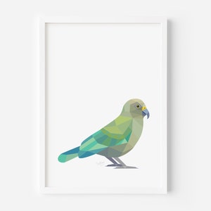 Impresión de Kea - Arte de Kea - Pájaro de Nueva Zelanda - Pájaro Kea - Arte Kiwiana - Regalo de Nueva Zelanda - Postal de Nueva Zelanda - Vida salvaje de Nueva Zelanda - Pájaro Kiwi