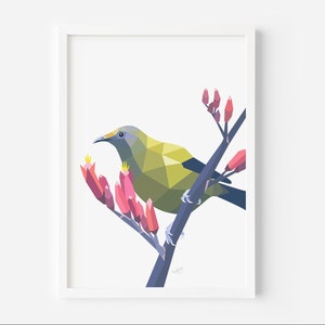 Bellbird Print - Bellbird Art - Aves nativas de Nueva Zelanda - Arte de Nueva Zelanda - Vida silvestre de Nueva Zelanda - Arte Kiwiana - Korimako - Arte Kiwi