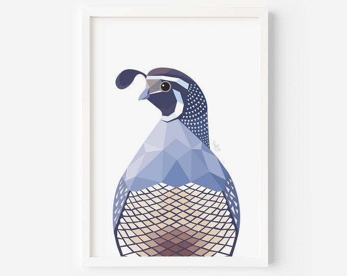 Quail Print - Quail Illustration - Bird Art - Quail Decor - Geometric Quail - Wildlife Art - Quail Decor - Quail Painting - New Zealand Bird