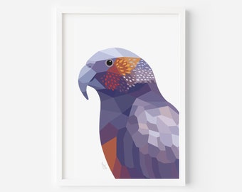 Kaka Print: New Zealand Parrot Art, Kiwi Home Decor