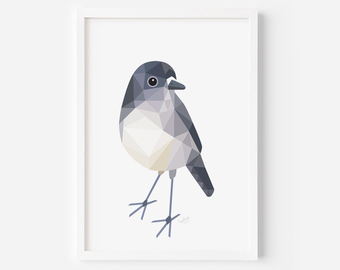 Robin Print - New Zealand Robin - New Zealand Birds - Bird Art - Robin Art - Kiwi Home - Kiwi Birds - Kiwiana Gift - New Zealand Home Art