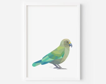 Kea Print | Kea Art | New Zealand Bird | Kea Bird | Kiwiana Art | New Zealand Gift | New Zealand Postcard | New Zealand Wildlife | Kiwi Bird
