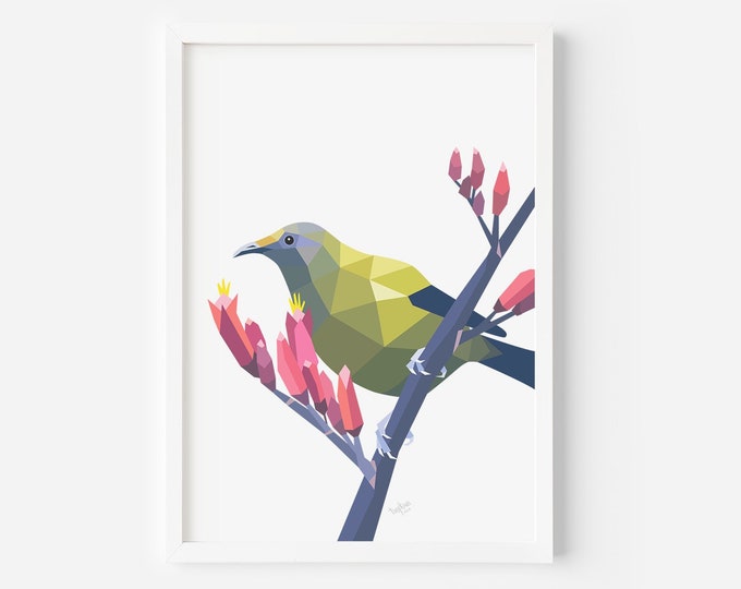 Bellbird Print - Bellbird Art - Native New Zealand Birds - New Zealand Art - New Zealand Wildlife - Kiwiana Art - Korimako - Kiwi Art