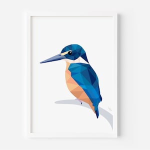 Kingfisher Print - Bird Illustration - Kotare - New Zealand Birds - New Zealand Art - New Zealand Wildlife - Kiwi Art - Kingfisher Art