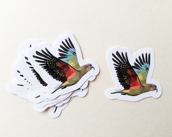 Kea sticker, Kiwi sticker, New Zealand sticker, Cute animal sticker, Kiwiana sticker, Bird sticker, New Zealand sticker, Minimal art