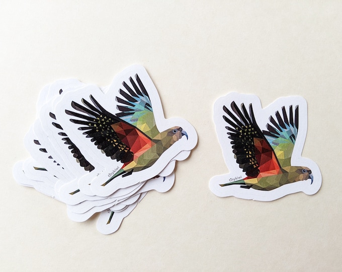 Kea sticker, Kiwi sticker, New Zealand sticker, Cute animal sticker, Kiwiana sticker, Bird sticker, New Zealand sticker, Minimal art