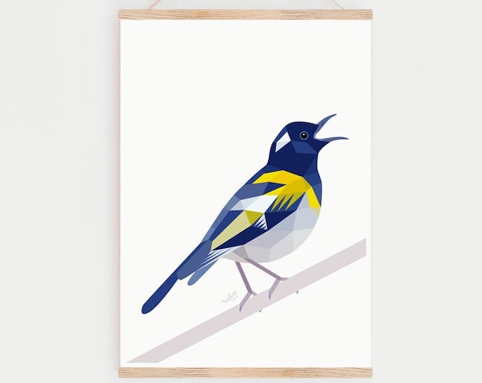 Hihi Print - Zealandia Birds - New Zealand Stitchbird - Native New Zealand Birds - Kiwi Art - New Zealand Gifts - Kiwiana Art - Made in NZ