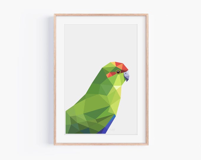 Original Kakariki Print - NZ Parakeet Illustration, Geometric Art, Wall Art, Wall Decor, Home Decor, Kiwiana, Bird Art, New Zealand Bird