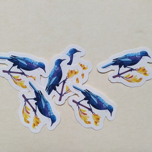 Tui sticker, Kiwi sticker, Kiwi bird sticker, New Zealand bird sticker, Bird sticker, Kiwiana sticker, New Zealand sticker, Kiwi gift