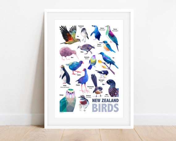  Buono Regalo  - Digitale - Uccelli: Gift Cards