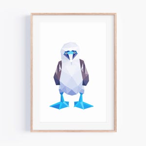 Stampa di sula dalle zampe azzurre (sguardo fisso) / Arte di sula dalle zampe azzurre / Fauna selvatica delle Galapagos / Uccello dallo sguardo intenso / Uccello che ti guarda / Uccelli carini