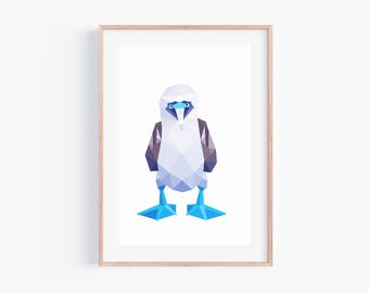 Blue-Footed Booby (stare) Print | Blue Footed Booby Art | Galapagos Wildlife | Intense Stare Bird | Bird looking at you | Cute Birds