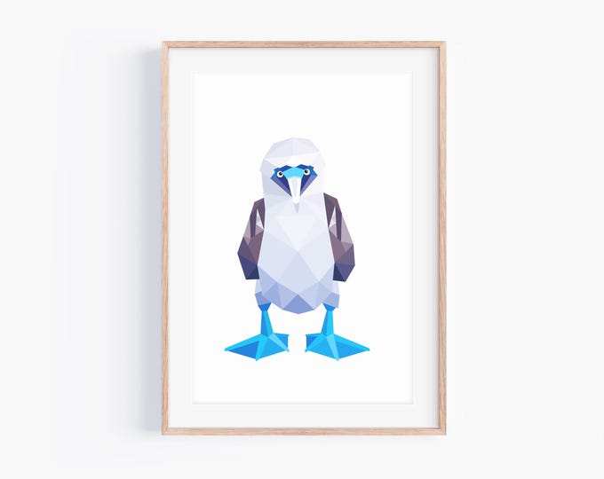 Blue-Footed Booby (stare) Print | Blue Footed Booby Art | Galapagos Wildlife | Intense Stare Bird | Bird looking at you | Cute Birds