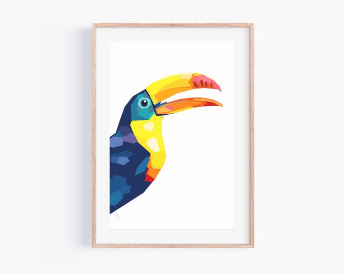 Original Toucan Print | Neotropical Art | Mexico, Argentina Wildlife | Ramphastidae | Bird art | colorful birds | Cute Birds