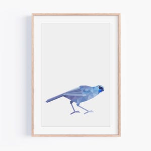 Stampa Kokako / Stampa Nuova Zelanda / Kokako dell'Isola del Nord in via di estinzione / Arte ornitologica / Arte neozelandese / Uccelli nativi della Nuova Zelanda / Arte della fauna selvatica