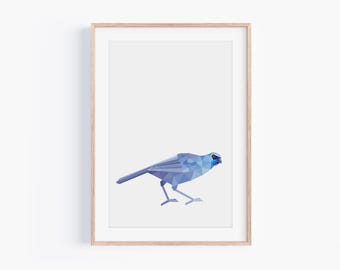 Kokako Print | New Zealand Print | Endangered North Island Kōkako | Bird Art | New Zealand Art | New Zealand Native Birds | Wildlife Art