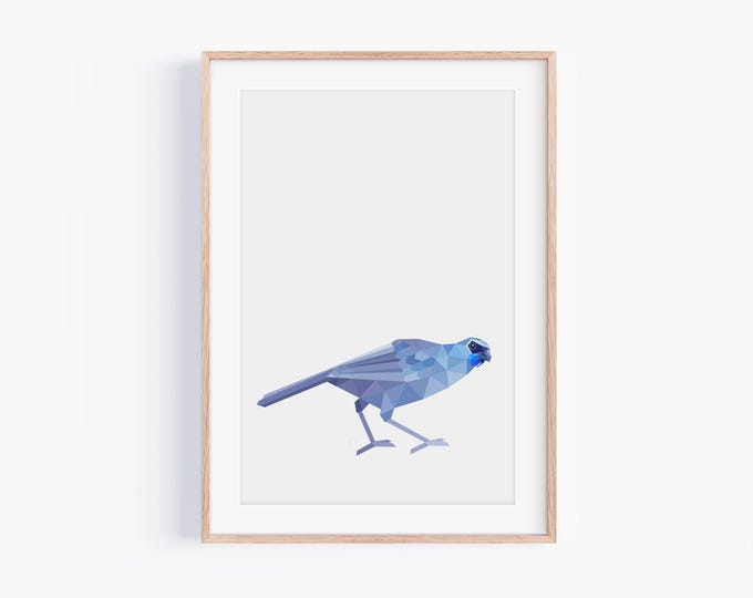 Kokako Print | New Zealand Print | Endangered North Island Kōkako | Bird Art | New Zealand Art | New Zealand Native Birds | Wildlife Art