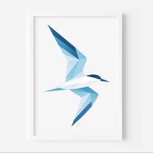 Stampa geometrica di Sterna frontebianca - Arte murale di Tara della Nuova Zelanda - Decorazione costiera con uccelli oceanici - Idea regalo con illustrazione minimalista della fauna selvatica dell'Aotearoa
