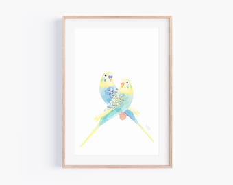 Budgie Pair Print: Australian Bird Illustration, Wildlife Art