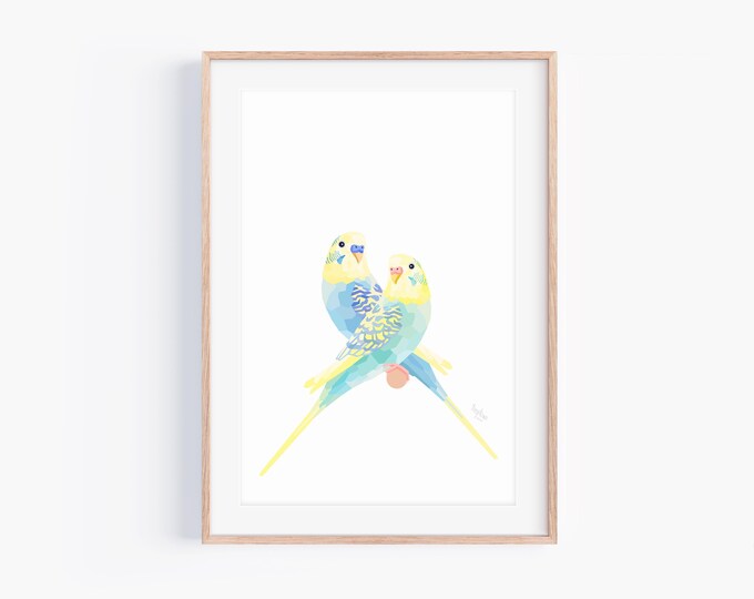 Original Budgie Pair Print - Bird Illustration - Budgerigar - Australian Birds - Australia Art, Wildlife, Pair of Budgies, Budgie Art