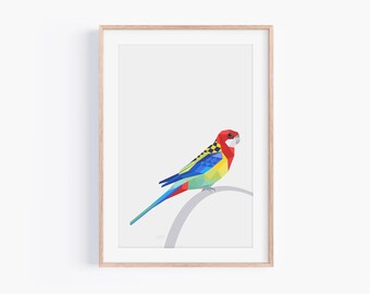 Australian Eastern Rosella Print, Kākā uhi whero Wall Art, Platycercus eximius bird, Parrot art print, Australian Art Poster Kiwi Home Decor