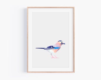 Eurasian Jay Print - Geometric Bird Art - Minimalist Wildlife Wall Decor - Modern Nature Illustration - Scandinavian Style Home Gift