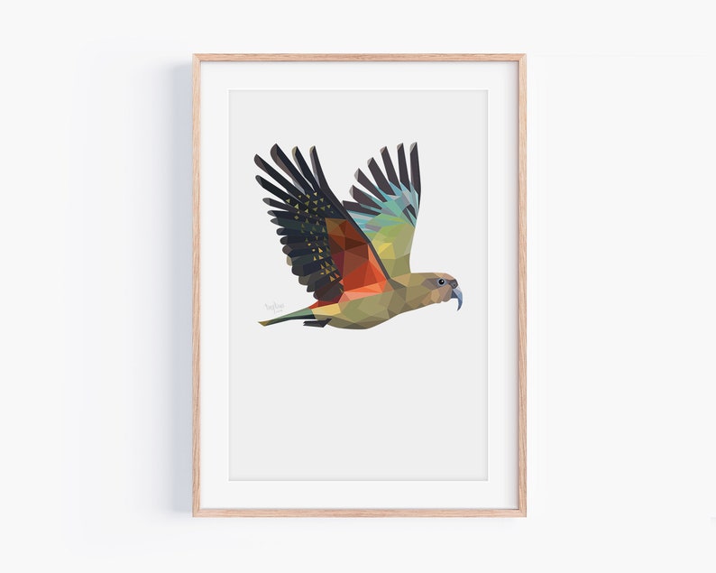 Kea Print Kea Art New Zealand Bird Kea Bird Kiwiana Art New Zealand Gift New Zealand Postcard New Zealand Wildlife Kiwi Bird image 2