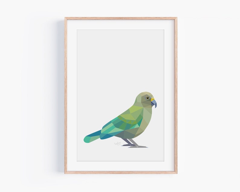 Kea Print Kea Art New Zealand Bird Kea Bird Kiwiana Art New Zealand Gift New Zealand Postcard New Zealand Wildlife Kiwi Bird image 2