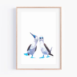 Stampa originale di sula dalle zampe azzurre / Coppia di sula dalle zampe azzurre / Fauna selvatica delle Galapagos / Coppia di uccelli / Coppia di uccelli / Uccelli innamorati / Uccelli carini