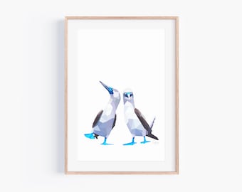 Blue-Footed Booby Pair Art Print: Galapagos Wildlife