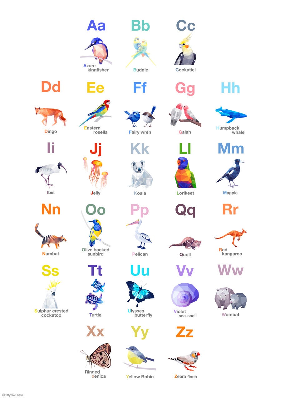 ABC Poster Australian Alphabet Australian bird art Etsy