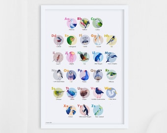 New Zealand ABC Poster: Native Wildlife Alphabet Art