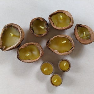 Beeswax Walnut Shell Floating Candles: Rustic Woodland Decor