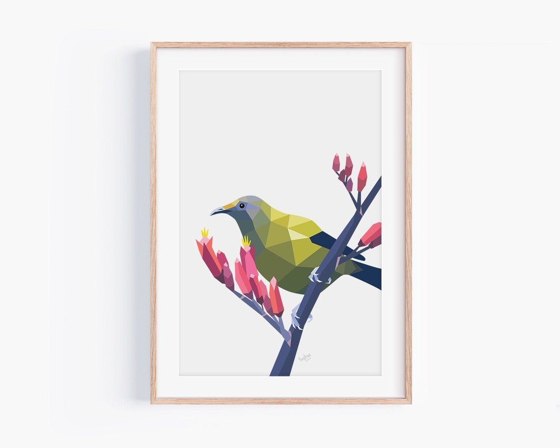 Bellbird Art Print: Native New Zealand Bird Illustration - Etsy