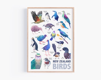 New Zealand Poster | Birds of New Zealand | New Zealand Birds | New Zealand Poster | New Zealand Art | New Zealand Wildlife | Tui Print